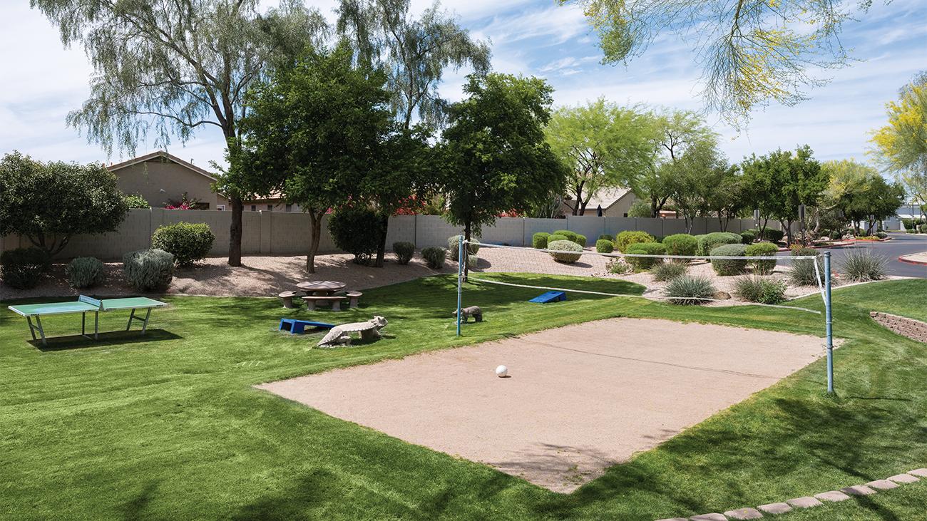 Volleyball Court